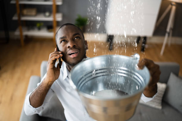 Best Water damage restoration process  in Logan, NM