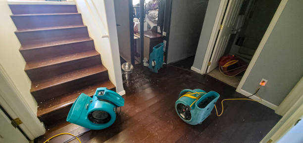 Best Basement water damage restoration  in Logan, NM
