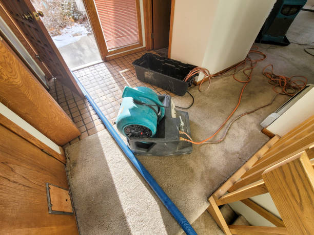 Sewage cleanup and water damage restoration in Logan, NM
