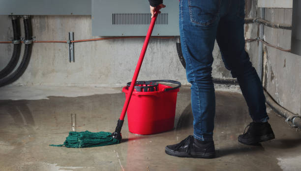 Best Flood restoration services  in Logan, NM