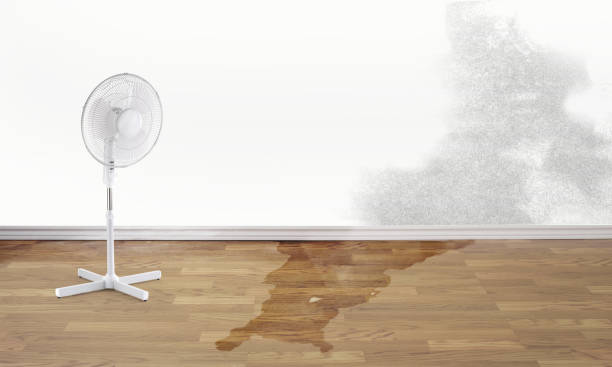 Best 24/7 water damage repair  in Logan, NM