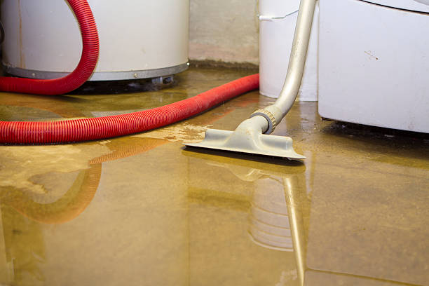 Best Water damage cleanup near me  in Logan, NM