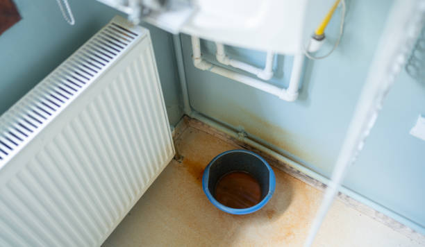 Best Water damage contractors near me  in Logan, NM