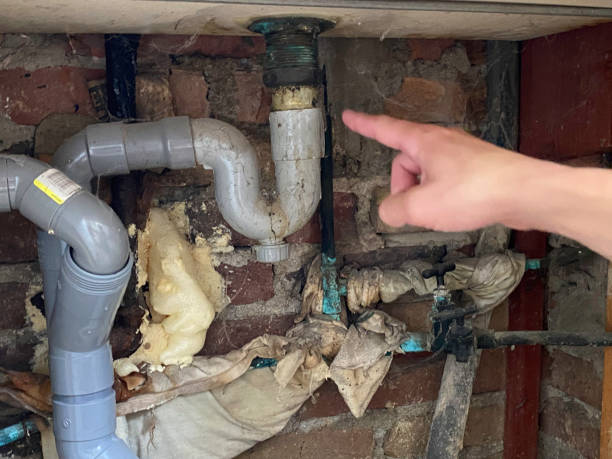 Best Local water damage restoration  in Logan, NM