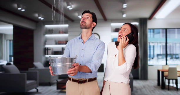 Best Emergency water extraction  in Logan, NM